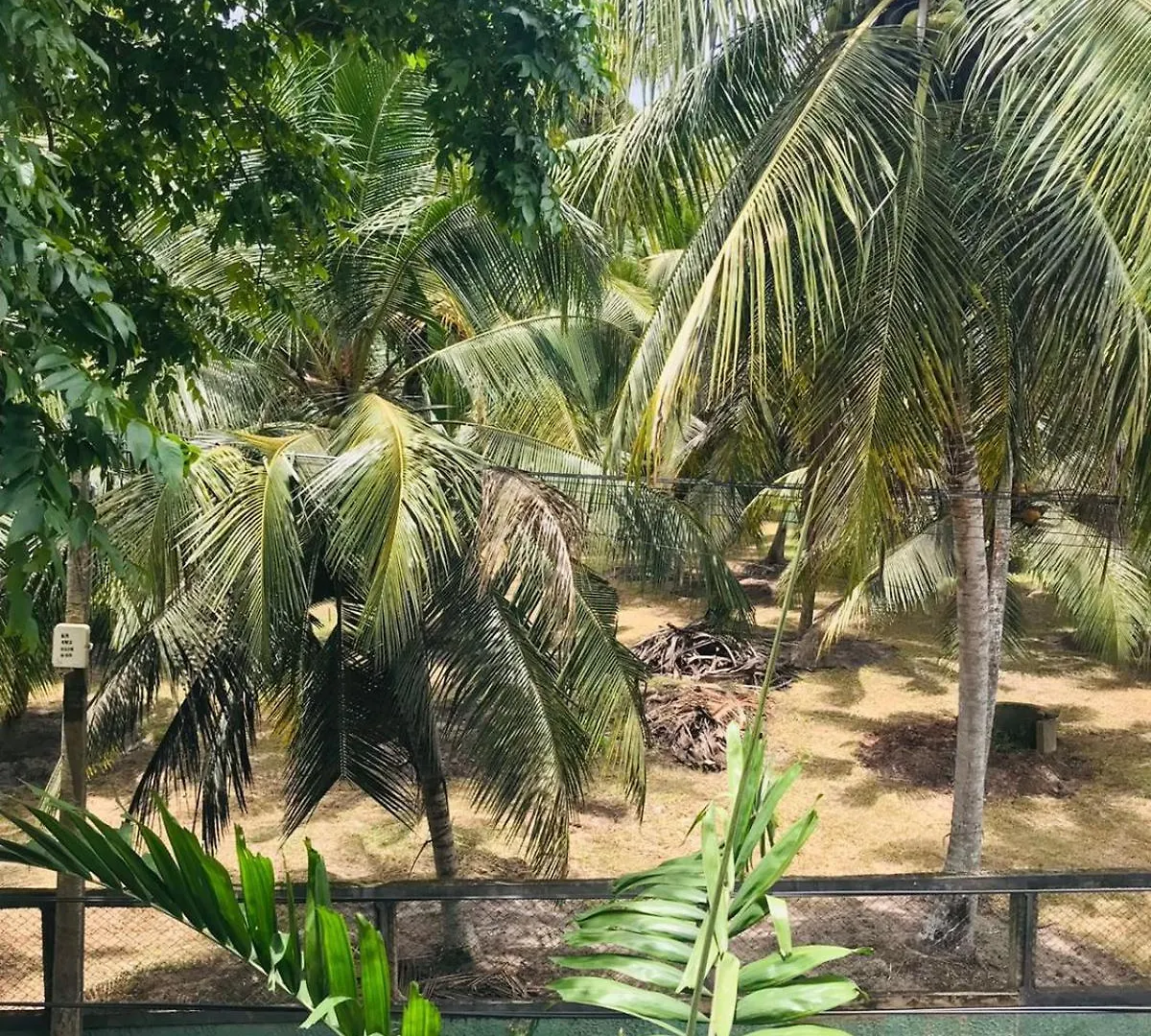 Sri White Villa Airport Boutique Hotel Katunayake