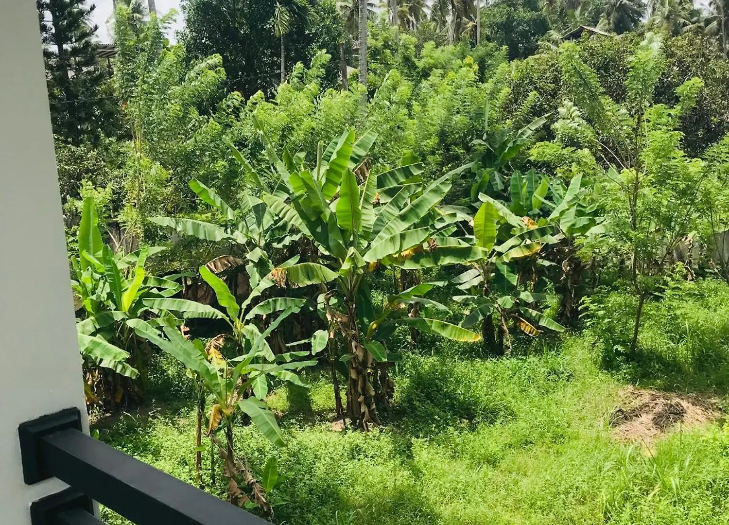 Sri White Villa Airport Boutique Hotel Katunayake 0*,  Sri Lanka