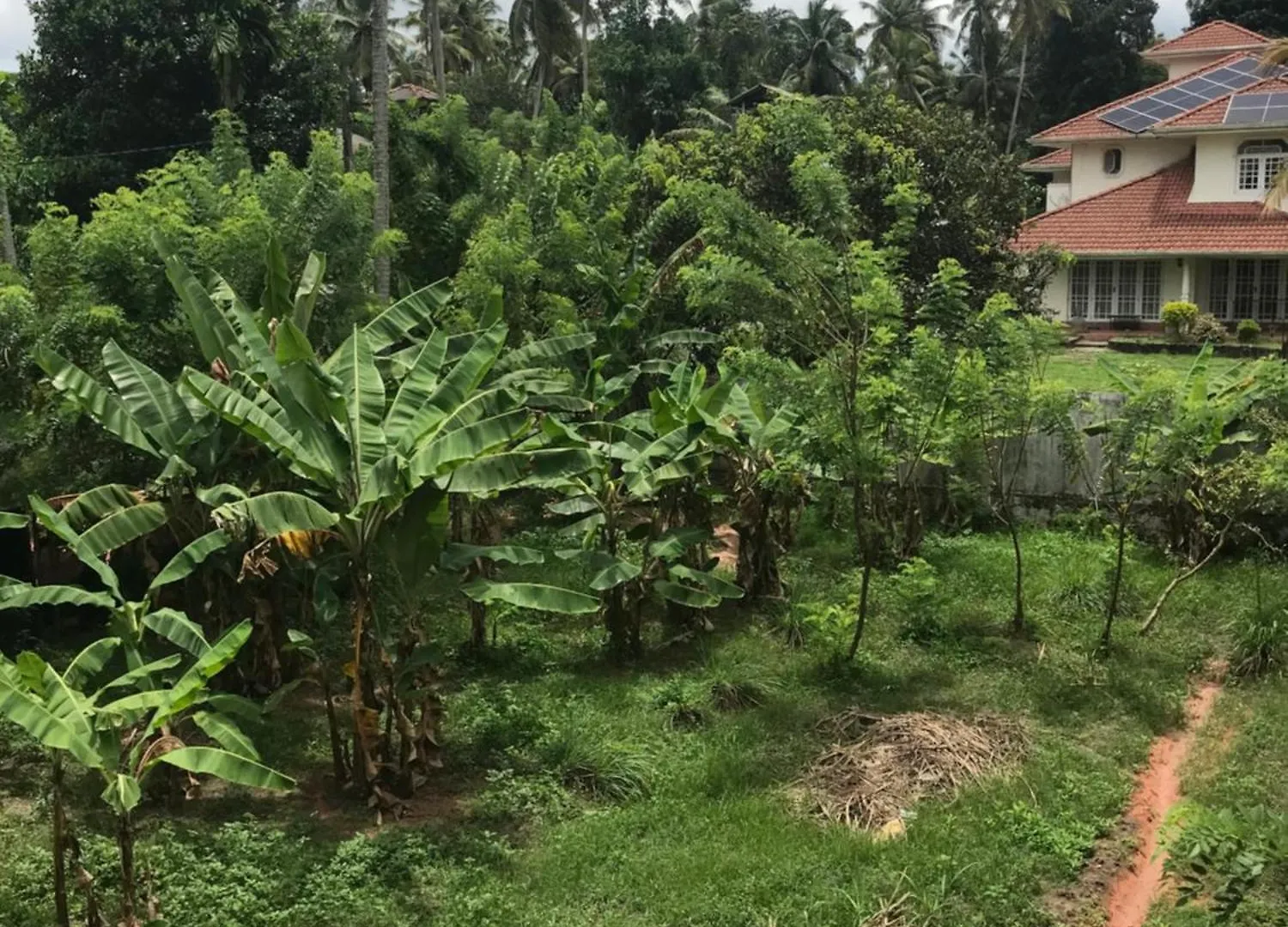 Sri White Villa Airport Boutique Hotel Katunayake Guest house